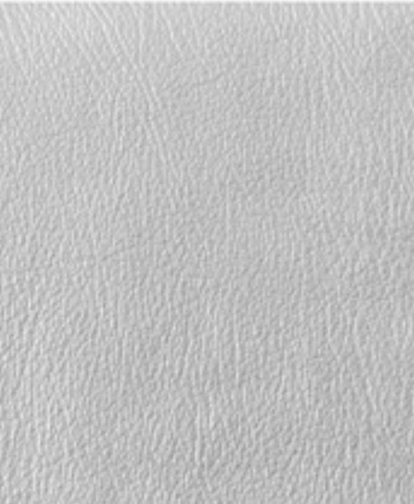 Leather Case - Silver