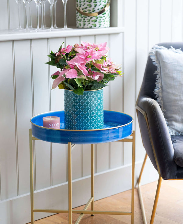 Folding Tray Stand - Medium
