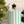 Mint Stripe Storage Jar
