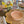 Yellow Scallop Placemat